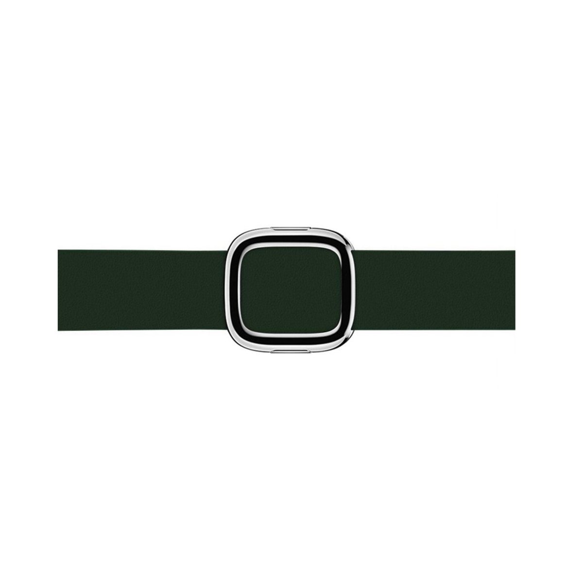 Forest Green BB Modern Buckle Apple Watch Band - BugBands