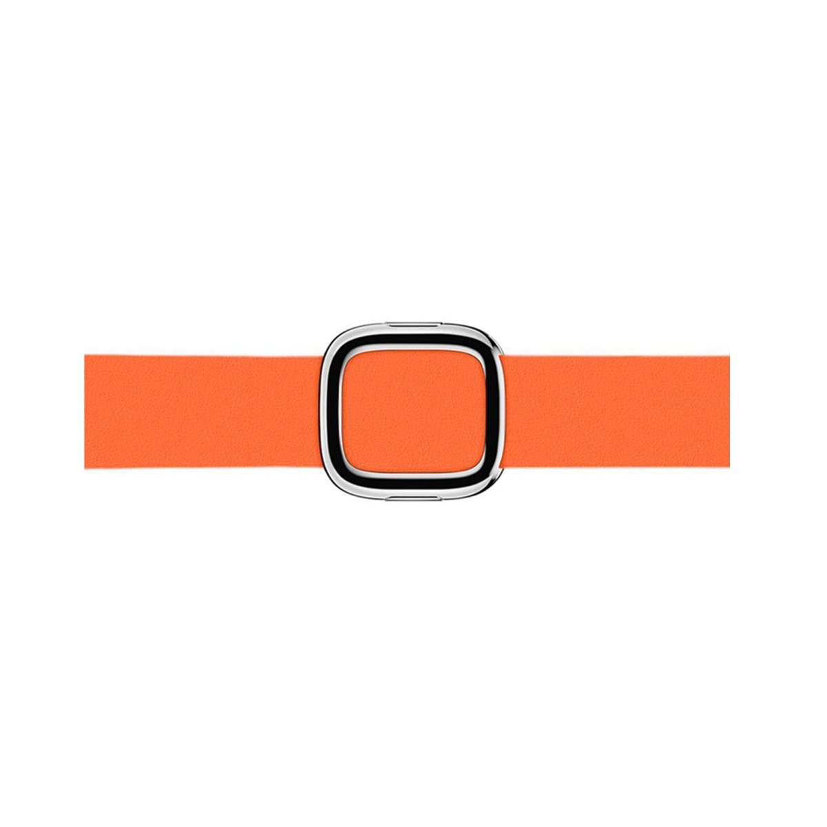 Sunset BB Modern Buckle Apple Watch Band - BugBands